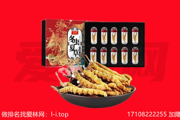 宕昌县回收虫草.jpg